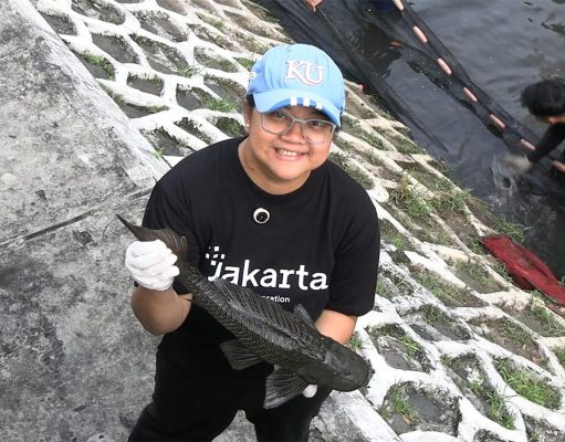 Pemprov DKI Bakal Gelar Rapat Khusus Basmi Ikan Sapu-Sapu
