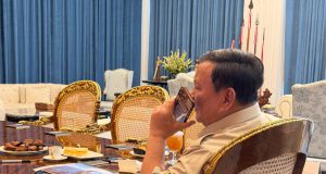 Indonesia Ekspor Urea ke Australia, Presiden Prabowo Terima Apresiasi PM Albanese