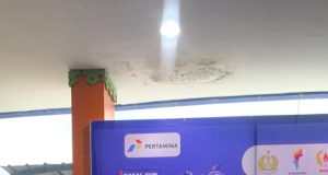 751 Atlet Bertanding di Nasional KASAL Cup V 2026, Bripda Petra dari Polri Raih Emas