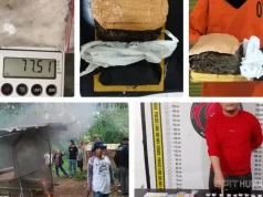 Polda Sumut Ungkap 264 Kasus Narkoba dalam Lima Hari, 342 Pelaku Diamankan dan 57 Lokasi Digerebek