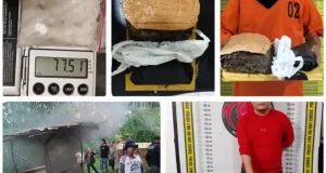 Polda Sumut Ungkap 264 Kasus Narkoba dalam Lima Hari, 342 Pelaku Diamankan dan 57 Lokasi Digerebek