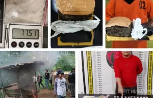 Polda Sumut Ungkap 264 Kasus Narkoba dalam Lima Hari, 342 Pelaku Diamankan dan 57 Lokasi Digerebek