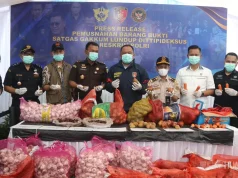 Perdagangan Ilegal Bawang Putih dari Jalur Tikus Perbatasan Malaysia Dimusnahkan