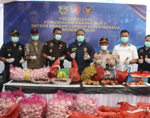 Perdagangan Ilegal Bawang Putih dari Jalur Tikus Perbatasan Malaysia Dimusnahkan