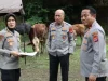 Polda Banten Salurkan 70 Sapi dan 5 Domba Kurban untuk Masyarakat Banten
