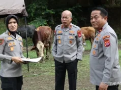 Polda Banten Salurkan 70 Sapi dan 5 Domba Kurban untuk Masyarakat Banten