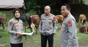Polda Banten Salurkan 70 Sapi dan 5 Domba Kurban untuk Masyarakat Banten
