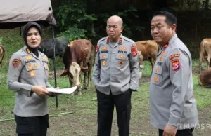 Polda Banten Salurkan 70 Sapi dan 5 Domba Kurban untuk Masyarakat Banten
