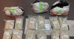 Sita Sabu 18 Kg dan 30 Ribu Ekstasi, Bareskrim Ungkap Jaringan Narkotika Internasional