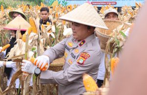 Kelompok Tani di Cisauk Binaan Polda Metro Jaya Panen Jagung