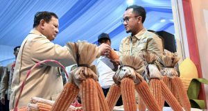 Petani Optimistis Swasembada Pangan Tercapai, Panen Raya Jagung Bersama Presiden Prabowo