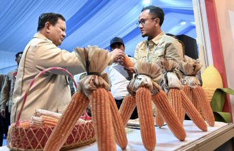 Petani Optimistis Swasembada Pangan Tercapai, Panen Raya Jagung Bersama Presiden Prabowo