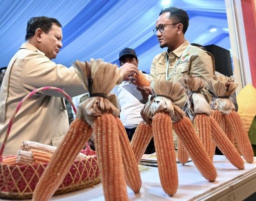 Petani Optimistis Swasembada Pangan Tercapai, Panen Raya Jagung Bersama Presiden Prabowo