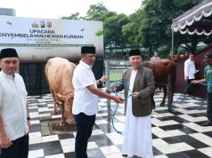 149 Ekor Hewan Kurban Disalurkan Polda Jatim Kepada Masyarakat
