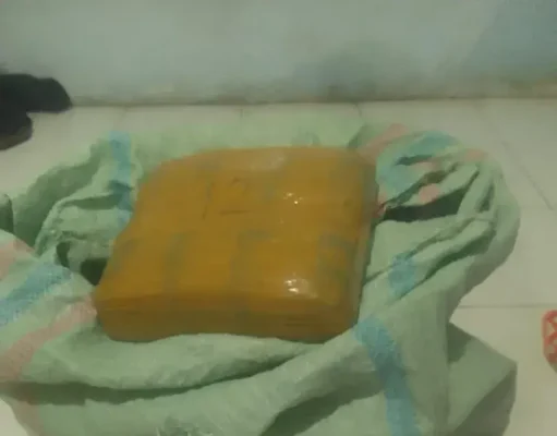 Dua Pemuda Ditangkap di Pasaman Bawa 21 Paket Besar Ganja dari Sumut