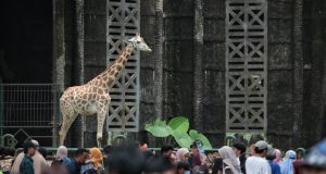 TMR Adakan Promo Masuk Gratis Peringati HUT ke-499 Jakarta
