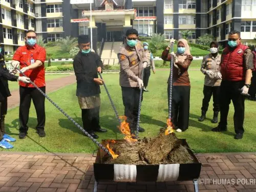Polda Sumbar Bongkar 61 Kasus Narkotika dan Musnahkan Hampir 70 Kilogram Barbuk