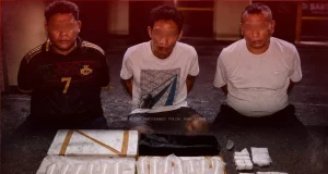 Polresta Banyuwangi Bekuk Tiga Pelaku Penyelundupan 23 Ribu Benih Lobster