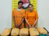 Polres Tapanuli Selatan Amankan 2 Tersangka dan BB 5 Kg Ganja