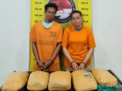 Polres Tapanuli Selatan Amankan 2 Tersangka dan BB 5 Kg Ganja