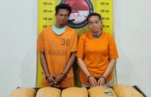 Polres Tapanuli Selatan Amankan 2 Tersangka dan BB 5 Kg Ganja