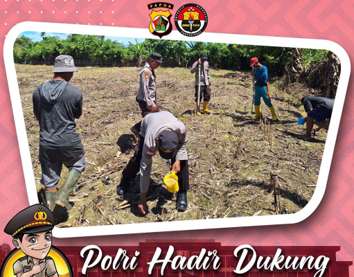 Polsek Pacet Dukung Ketahanan Pangan, Bantu Petani Panen Jagung