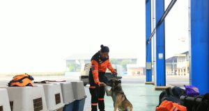 Polri Kerahkan 10 K9 SAR Berpengalaman ke Flores dengan Pesawat Khusus utuk Misi Khusus Pencarian Orang
