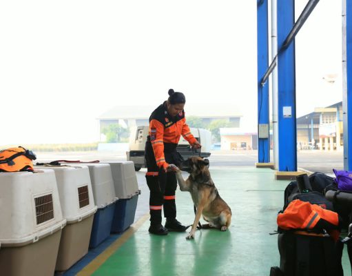 Polri Kerahkan 10 K9 SAR Berpengalaman ke Flores dengan Pesawat Khusus utuk Misi Khusus Pencarian Orang