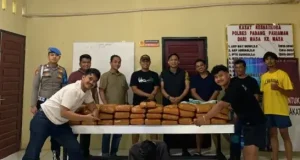 Polres Padang Pariaman Amankan 61 Paket Ganja
