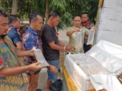 Polda Banten Gagalkan Pengiriman 150 Ribu Benih Lobster, 149.880 Ekor Dilepasliarkan | #ReserseBekerja