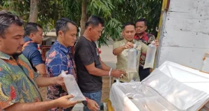 Polda Banten Gagalkan Pengiriman 150 Ribu Benih Lobster, 149.880 Ekor Dilepasliarkan