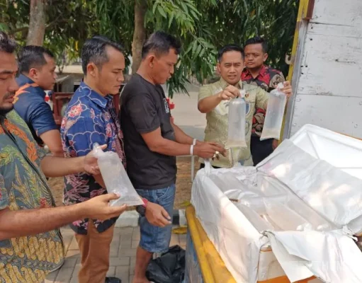 Polda Banten Gagalkan Pengiriman 150 Ribu Benih Lobster, 149.880 Ekor Dilepasliarkan