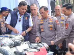 Sita 85,9 Kg Sabu Selama Operasi Antik Krakatau 2026, Polda Lampung Ungkap 379 Kasus