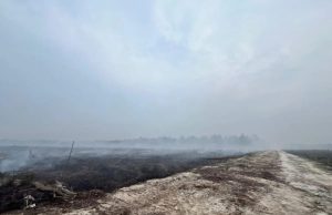 Lansia Ditetapkan Polisi Sebagai TSK Kasus Garap 270 Hektare Hutan