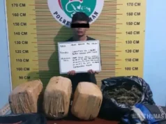 Barang Bukti 23 Kilo Ganja dan Dua Kurir Ditangkap di Pasaman Sumbar