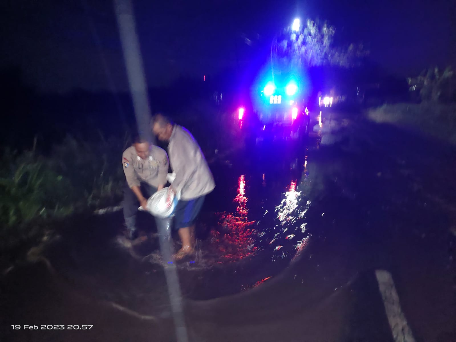 28923b3c-4c8a-4d5d-a631-51bf31ec7e00