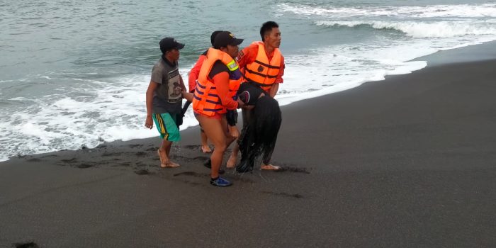 2d95dd38a13dfb31a1fca15ef9677e27fa0e2584b7481a536c6e09b6079f8b05.0