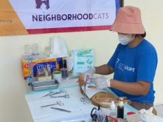 101 Kucing Peliharaan di Pulau Kelapa Disterilisasi dan Vaksin Rabies