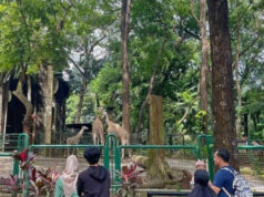 TMR Dipadati Pengunjung Saat Libur Hari Raya Waisak