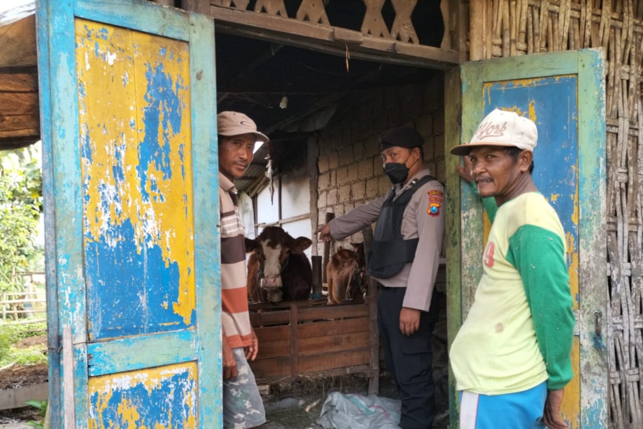 83911618-a5a2-4feb-b650-e9b657792f09