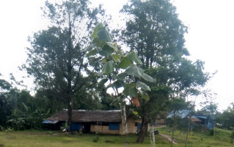 887c04ce03a029b84cdbf16d313489a997db8f70f49ed9234a6524b42567fcf1.0