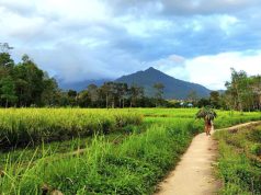 Kemenparekraf Siapkan Desa Wisata Topang Pembangunan di IKN