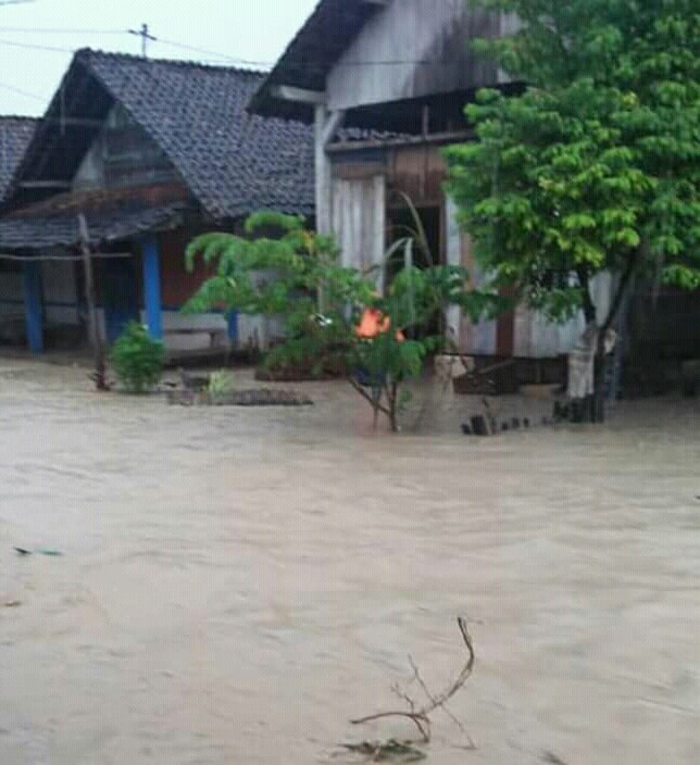 FB_IMG_15516209523648458_1551621019862