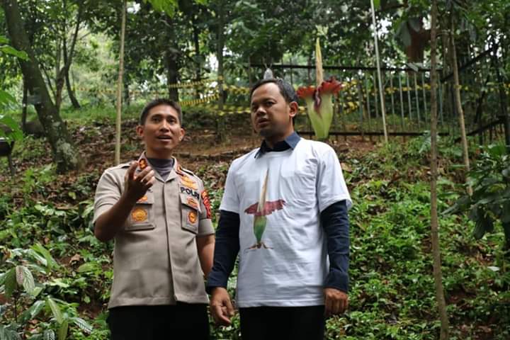 AKBP ARSAL : MEKARNYA BUNGA BANGKAI MERUPAKAN MOMEN PENTING KARENA TERJADINYA 4 TAHUN LAGI