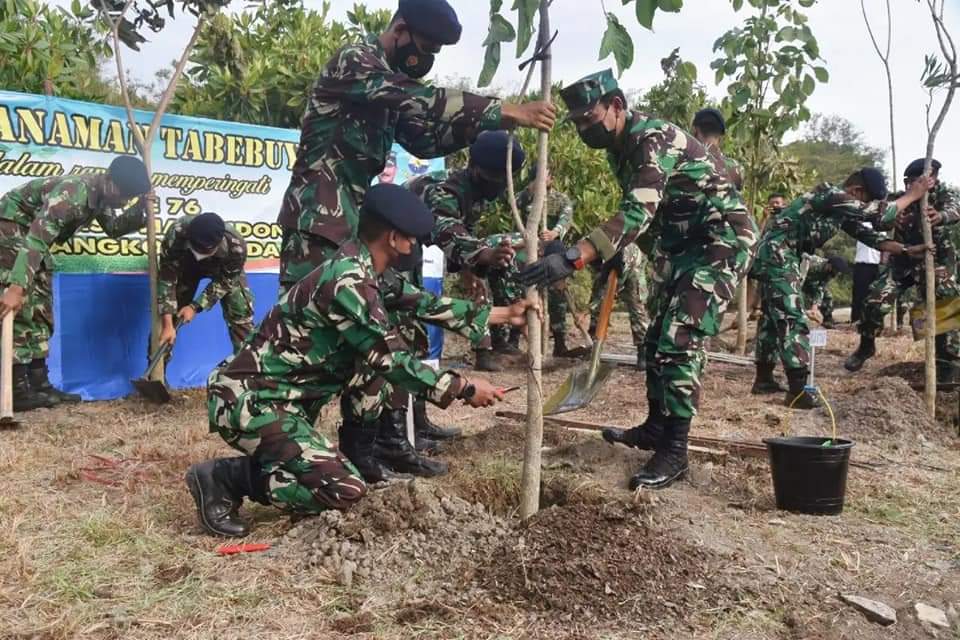 200 Pohon Bunga Tabebuya Siap Hiasi Koarmada II