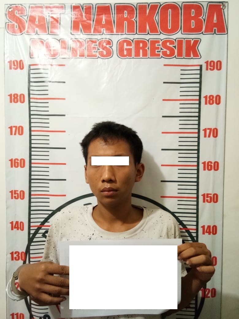 Ungkap Kasus Narkoba, Satresnarkoba Polres Gresik Kembali Amankan Pelaku Penyalahgunaan Narkotika