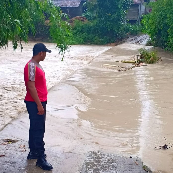 IMG-20190417-WA0167-696x696