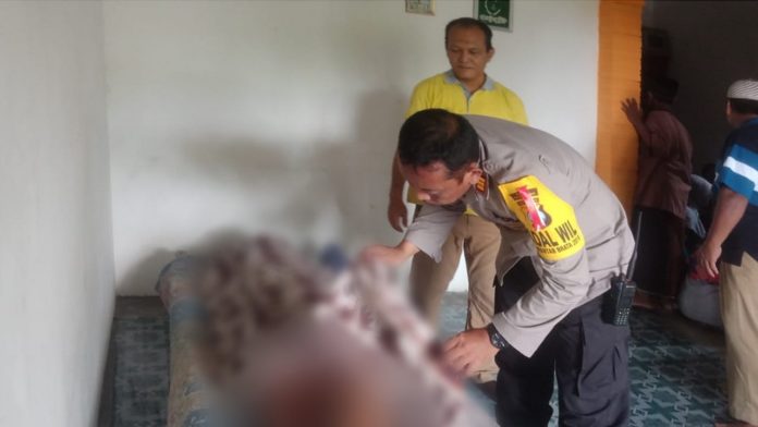 IMG-20190424-WA0019-696x392