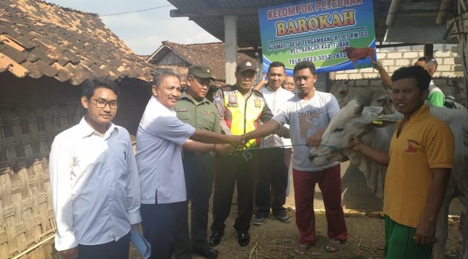 IMG-20190612-WA0017-672x372 (1)