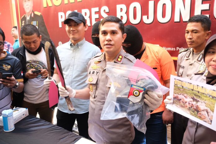 dua Pelaku Curas Asal Tuban Berhasil Dibekuk Polres Bojonegoro